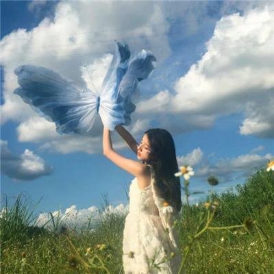 反诈风暴之情爱迷局